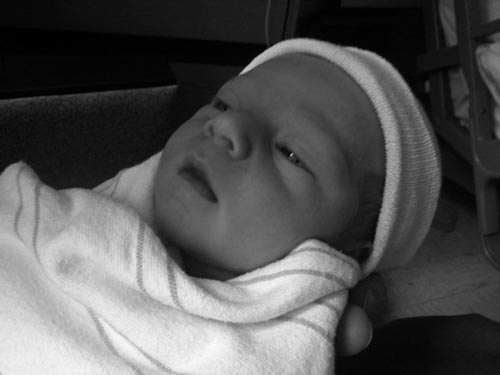 Sweet little baby Oliver born yesterday, and already threatens Joel's job security