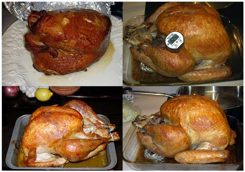 turkey turkey