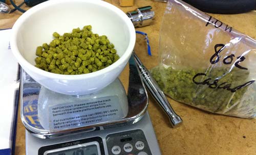 hops-dry-hopping hops-dry-hopping