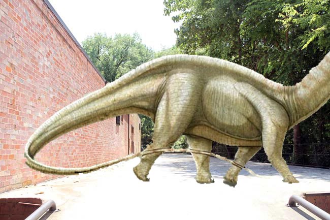brewery-patio-brontosaurus-website